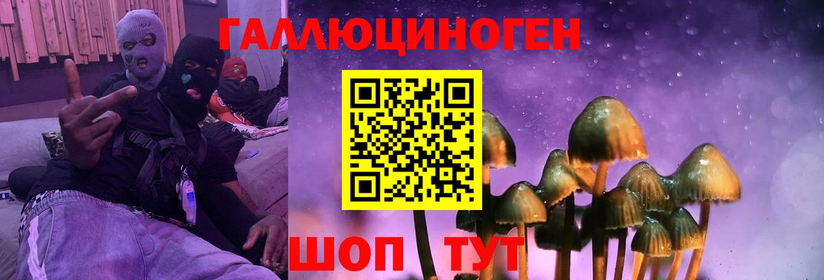 Псилоцибиновые грибы Psilocybine cubensis  Галлюциногенные грибы GOLDEN TEACHER  закладка  Вход с VPN  Отрадное 