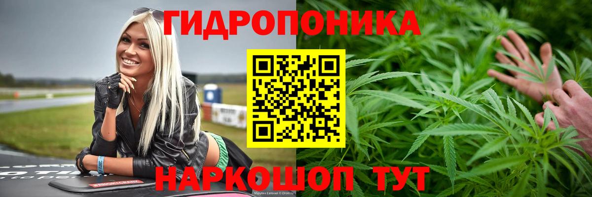 Конопля индика  Вход с VPN  Отрадное  Бошки марихуана Ganja 